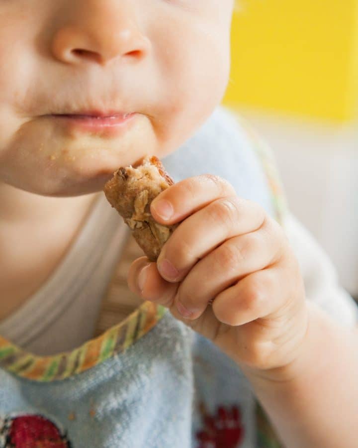 healthy baby spelt snacks sugar-free