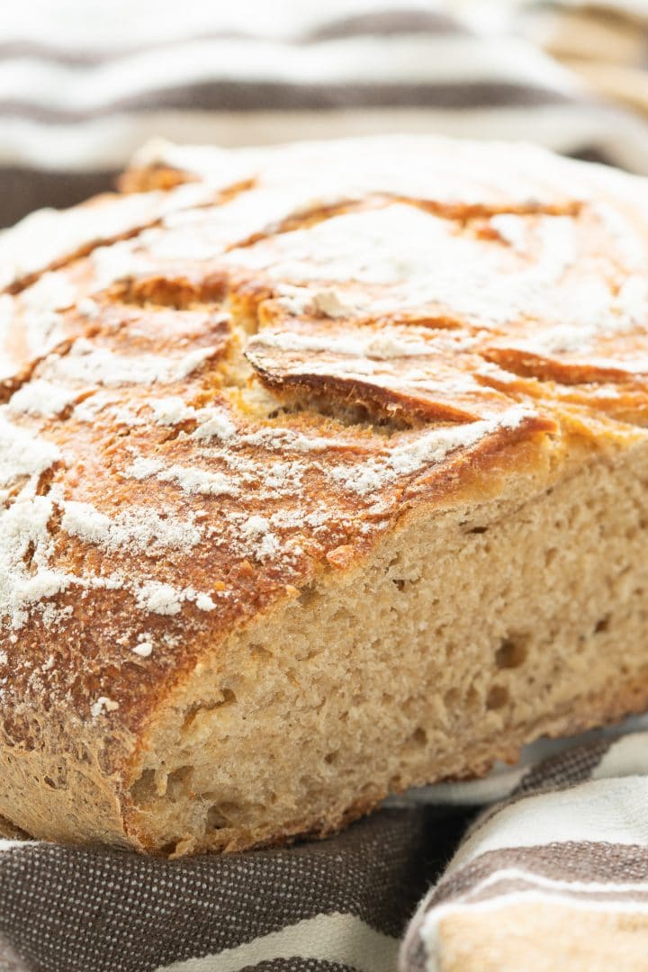 beginner's guide how to make sourdough starter for bread