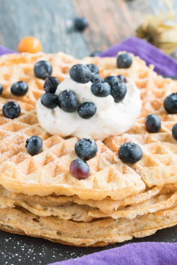 flourless sugar-free low carb waffle recipe