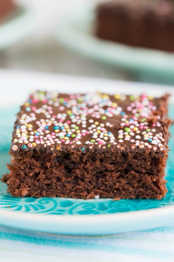 delicious-chocolate-cake-from-the-baking-sheet