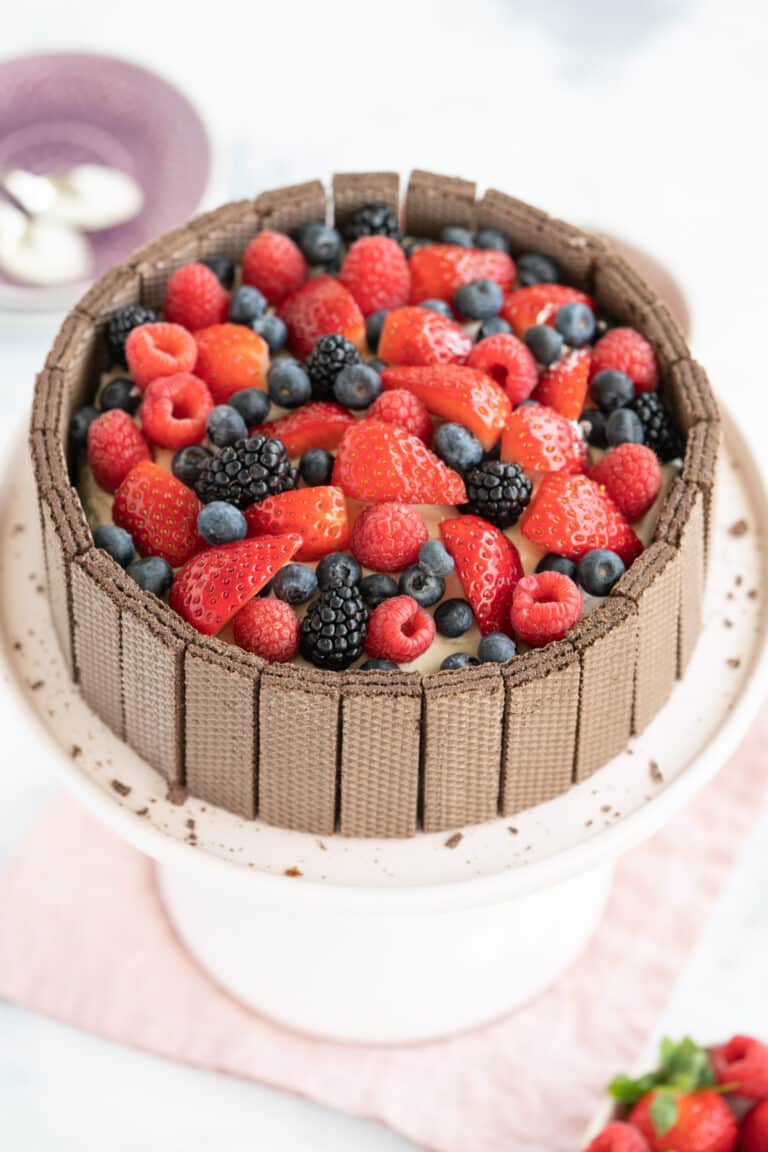 berry cake with chocolate base
