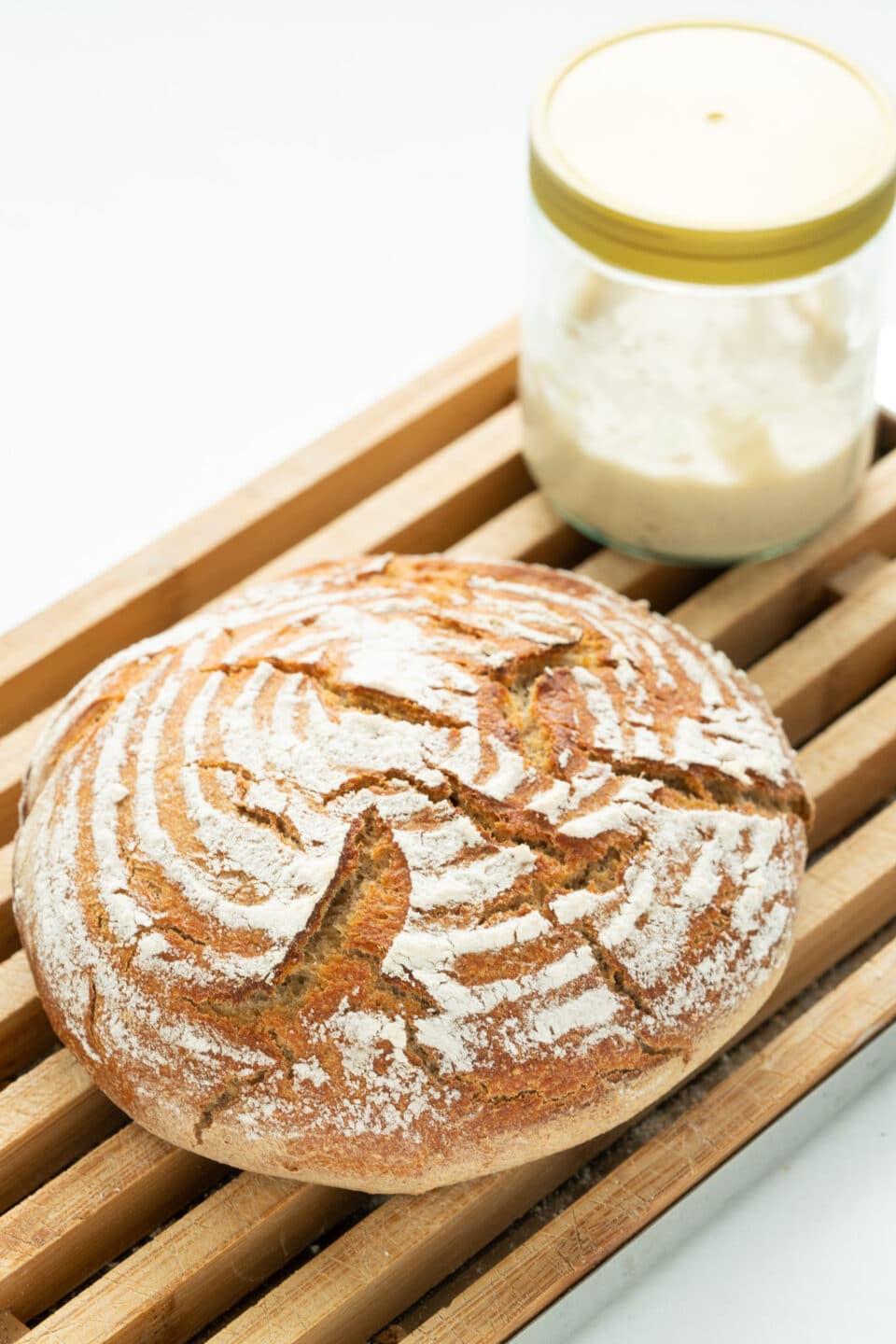 sourdough starter for bread